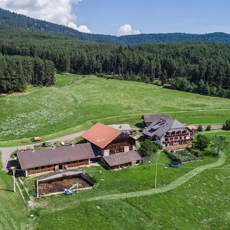 Schartnerhof Villa Collalbo Bagian luar foto