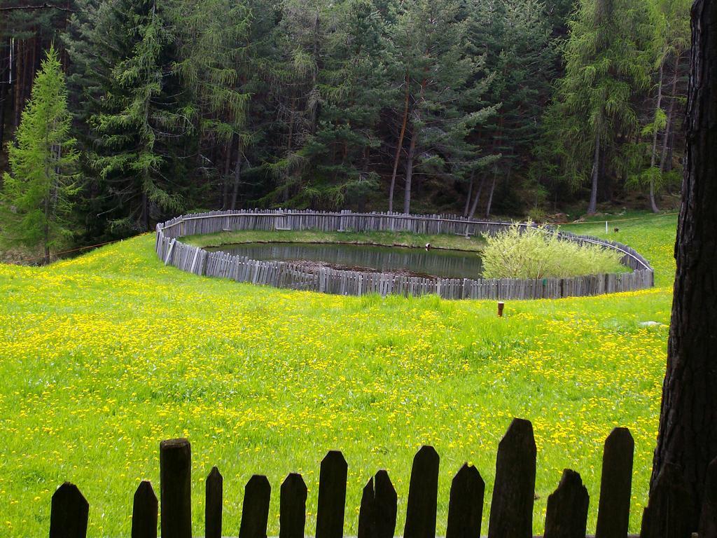 Schartnerhof Villa Collalbo Bagian luar foto